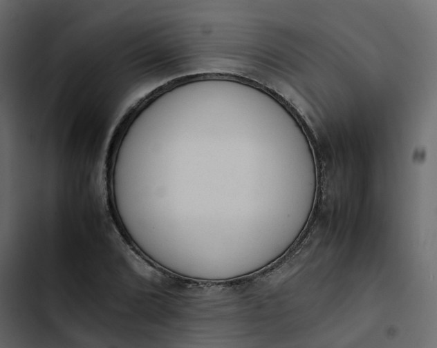 X0000102861072200809021419