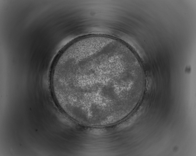 X0000102861074200809021419