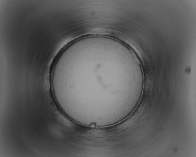 X0000102861075200809021419