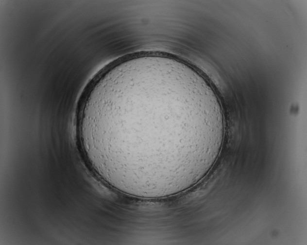 X0000102861076200809021419