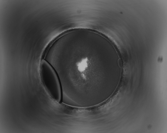 X0000102861077200809021419