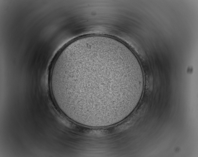 X0000102861078200809021419