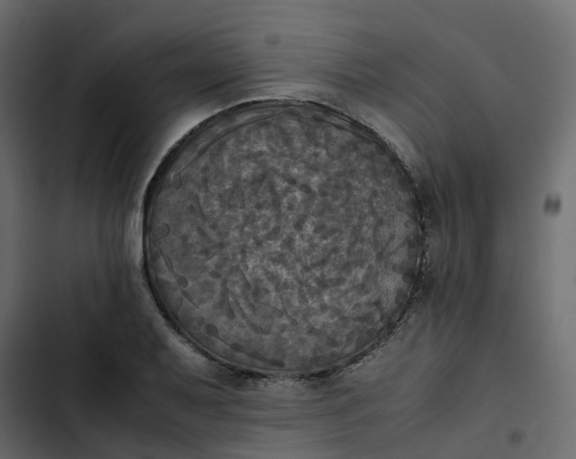 X0000102861079200809021419