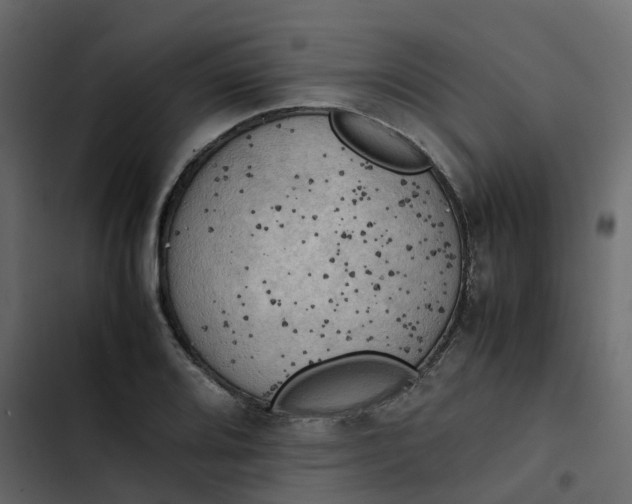 X0000102861080200809021419