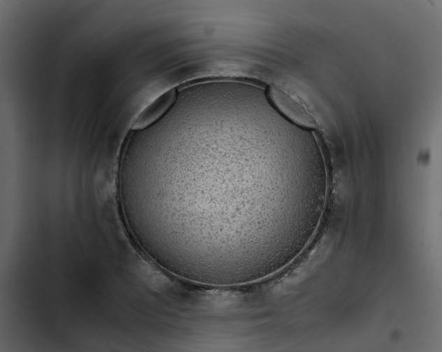 X0000102861081200809021419