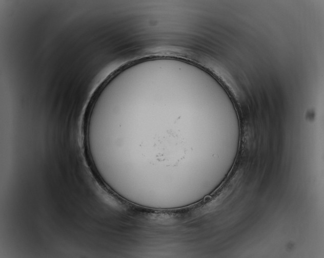 X0000102861082200809021419