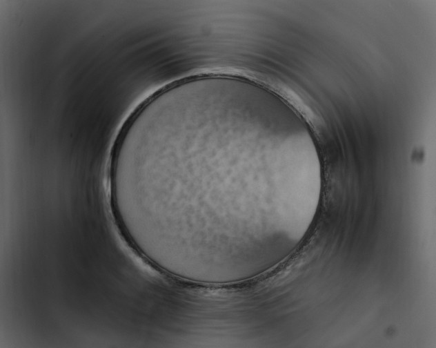 X0000102861084200809021419