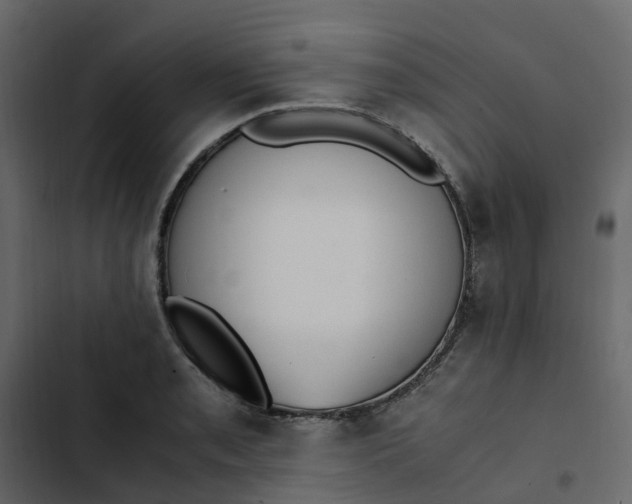 X0000102861085200809021419