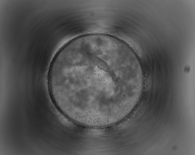 X0000102861086200809021419