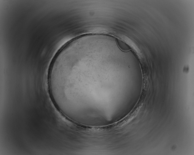 X0000102861087200809021419