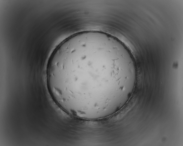 X0000102861088200809021419