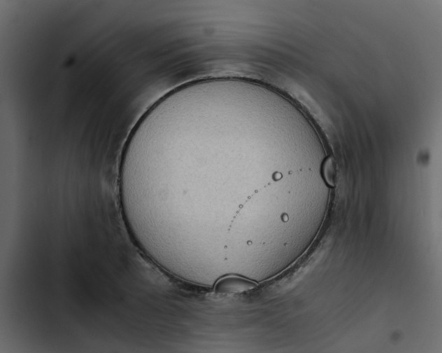 X0000102861089200809021419