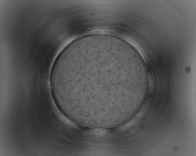 X0000102861090200809021419