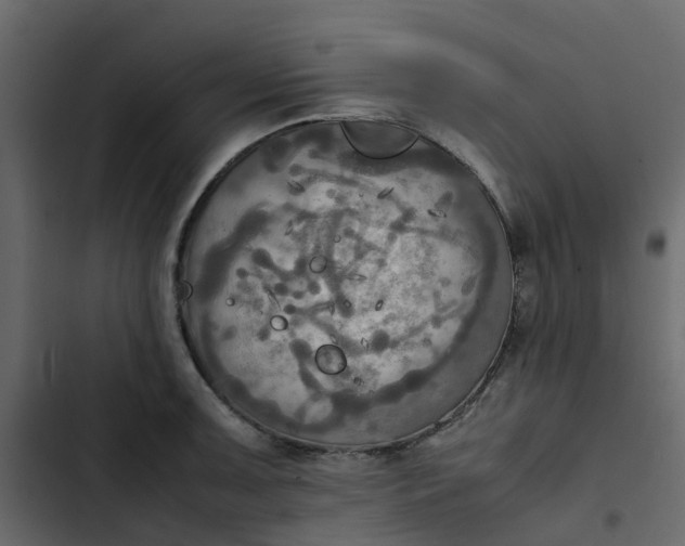 X0000102861091200809021419