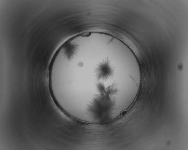 X0000102861092200809021419