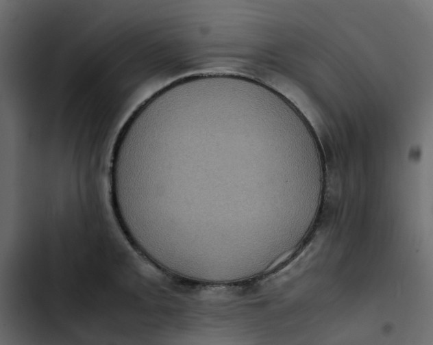 X0000102861093200809021419