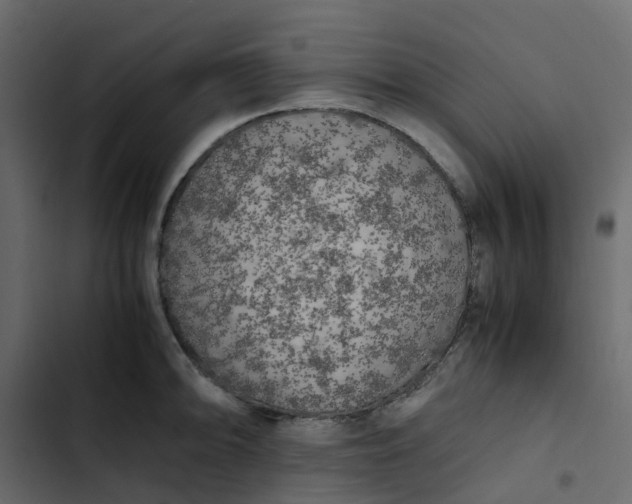 X0000102861094200809021419