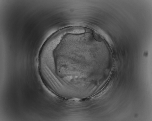 X0000102861095200809021419