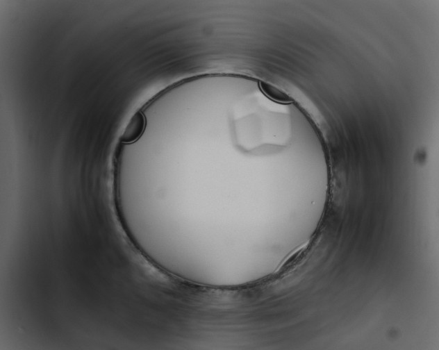 X0000102861096200809021419