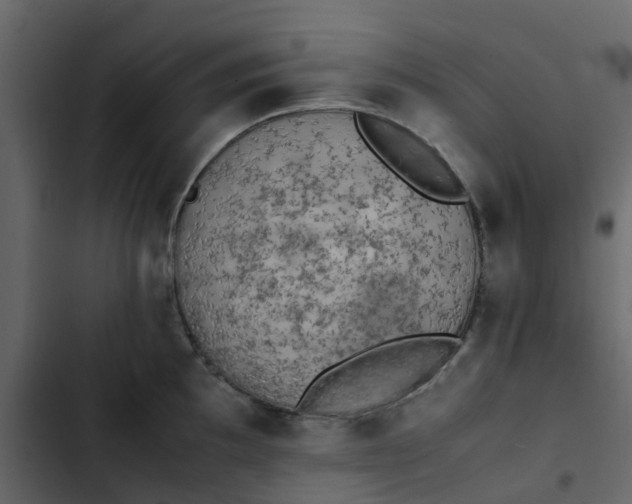 X0000102861097200809021419