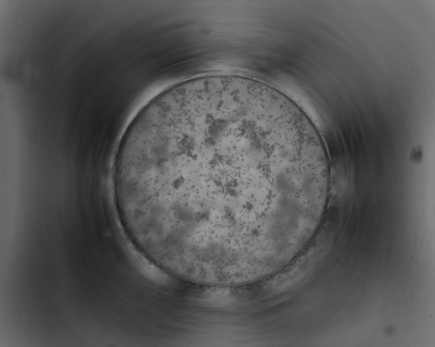 X0000102861098200809021418