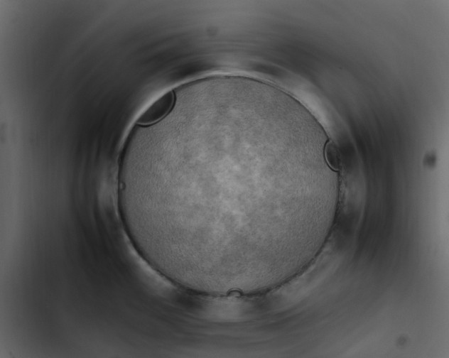 X0000102861100200809021418