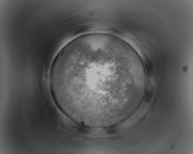 X0000102861101200809021418