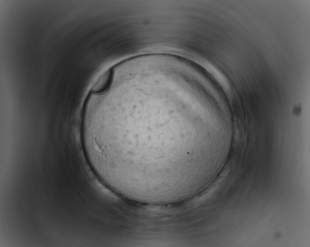 X0000102861102200809021418