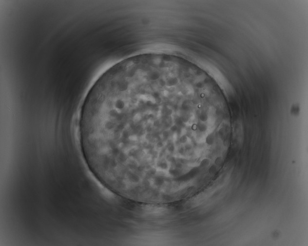 X0000102861103200809021418