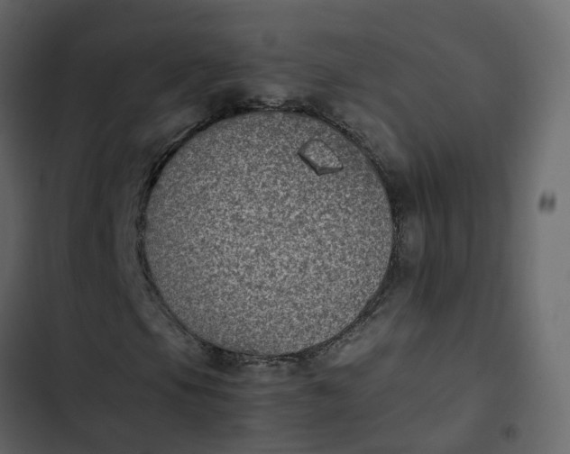 X0000102861105200809021418