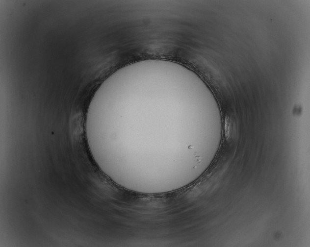 X0000102861107200809021418