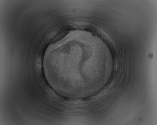 X0000102861108200809021418