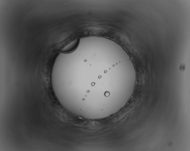 X0000102861109200809021418