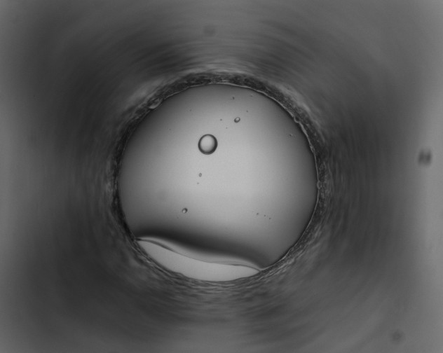 X0000102861110200809021418