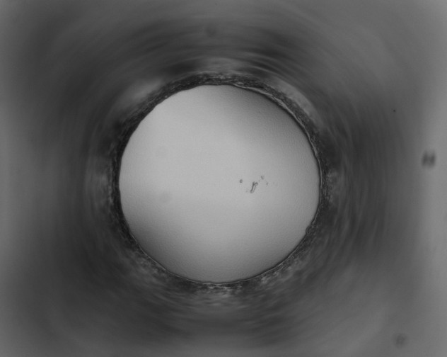 X0000102861111200809021418