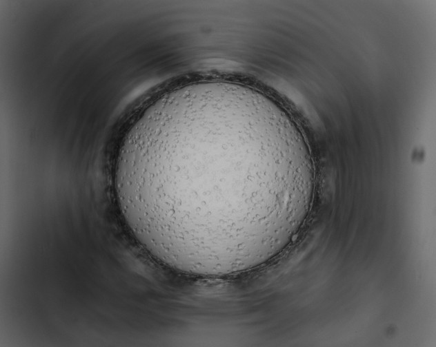 X0000102861112200809021418