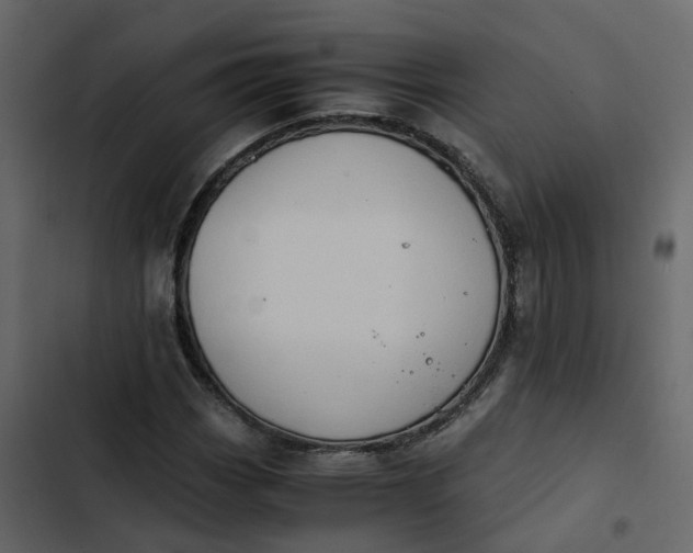 X0000102861113200809021418