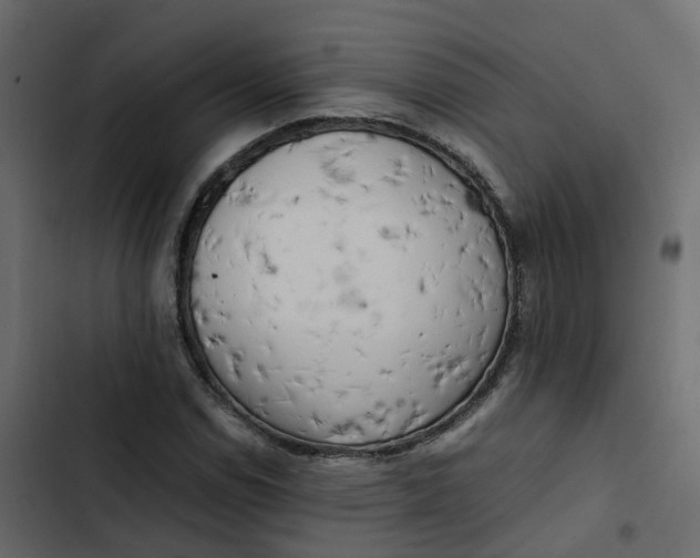 X0000102861114200809021418