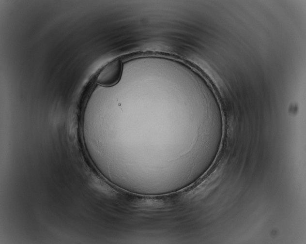 X0000102861115200809021418