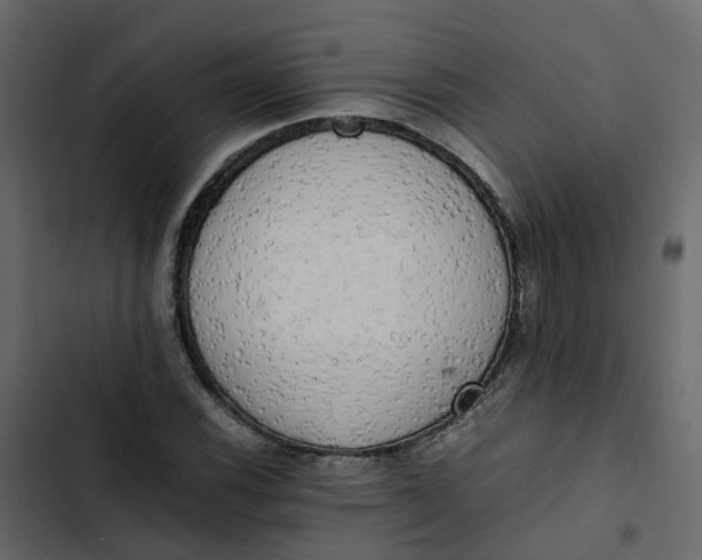 X0000102861116200809021418