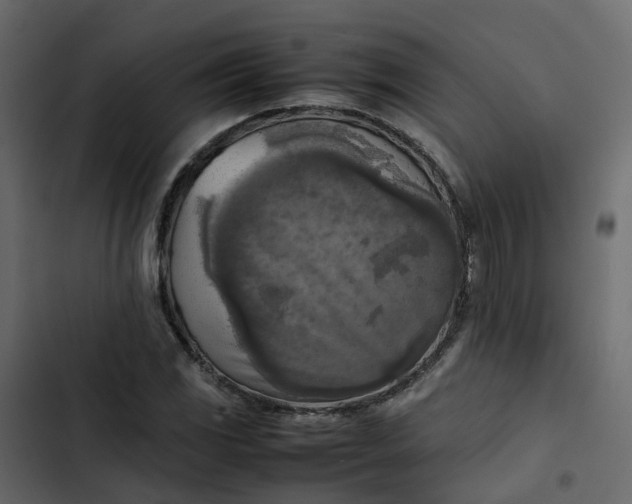 X0000102861117200809021418