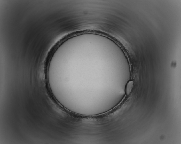 X0000102861118200809021418