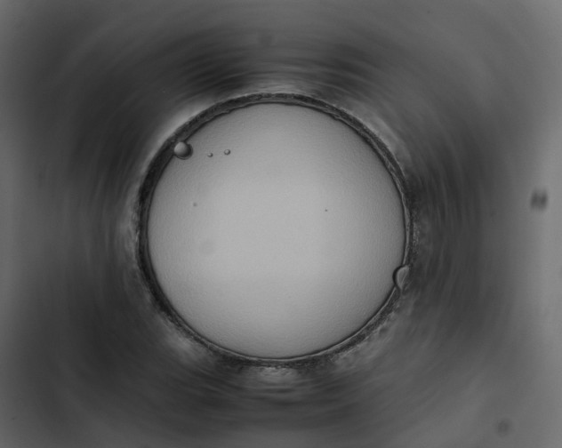 X0000102861119200809021418