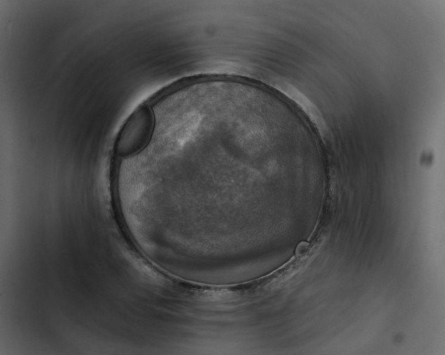 X0000102861120200809021418