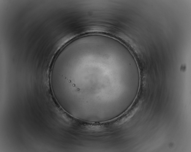 X0000102861121200809021418