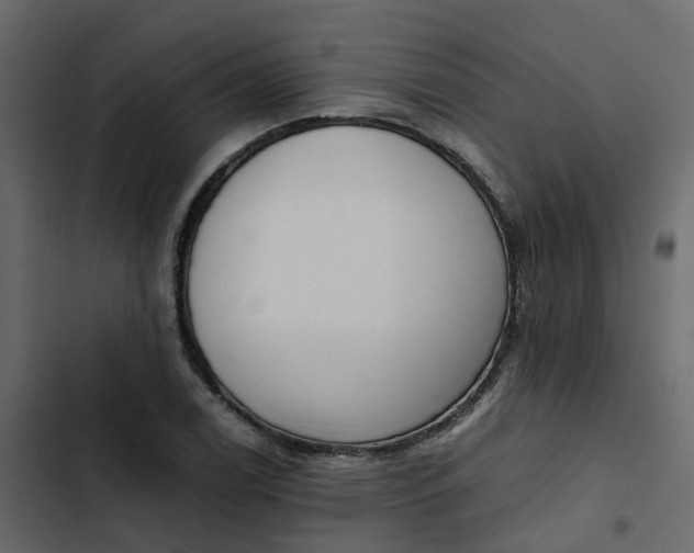 X0000102861122200809021418