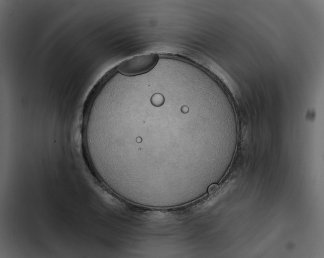 X0000102861124200809021418