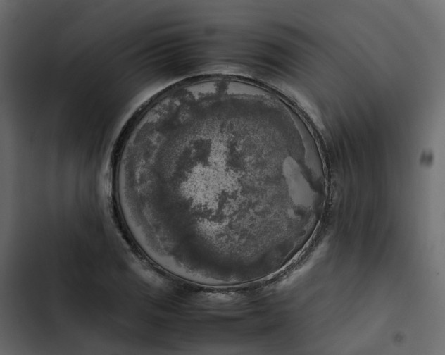 X0000102861125200809021418