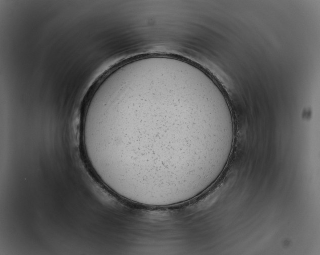 X0000102861126200809021418