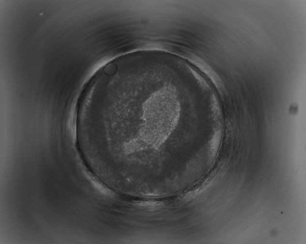 X0000102861127200809021418